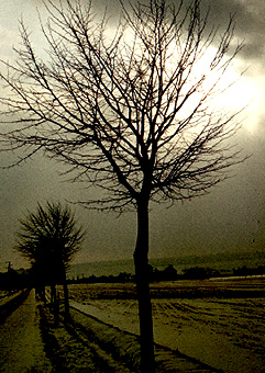 blindlight5