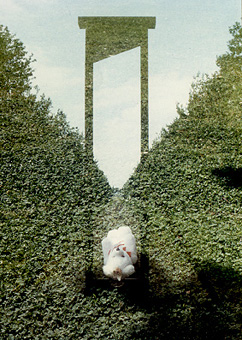 guillotinenb&auml;r