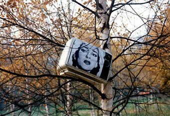 medienbaum