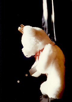 messerb&auml;r