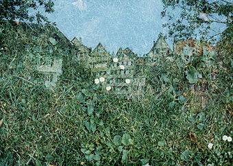 &ouml;kologisches wohngras