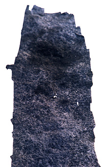 steinzahn