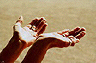 give
